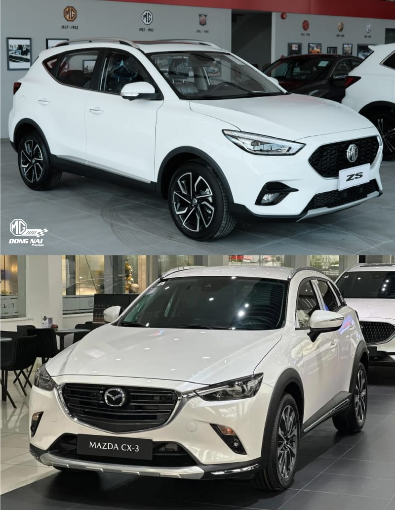 Mgdongnai-mgzs-38