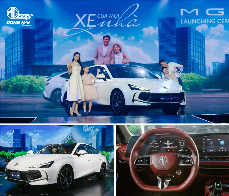 MG7 2.0T Premium 12
